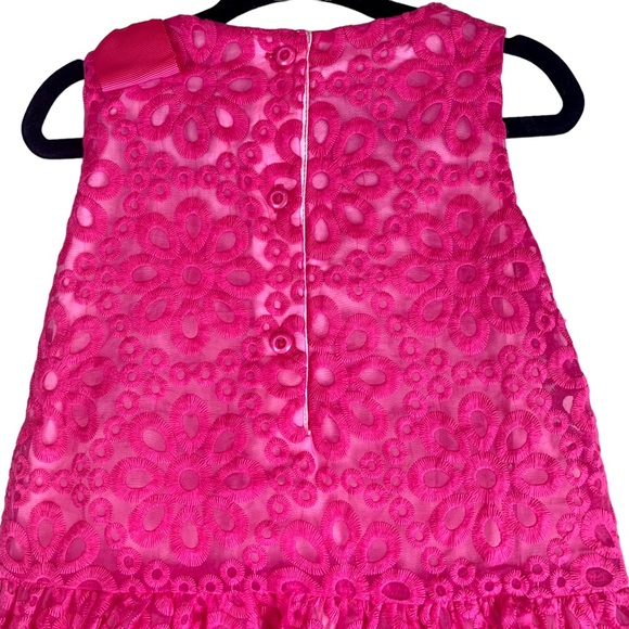 Gymboree Girls Special Occassion Lace Drop Waist Dress Fuchsia Pink NEW - Picture 11 of 13